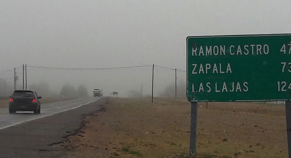 zapala