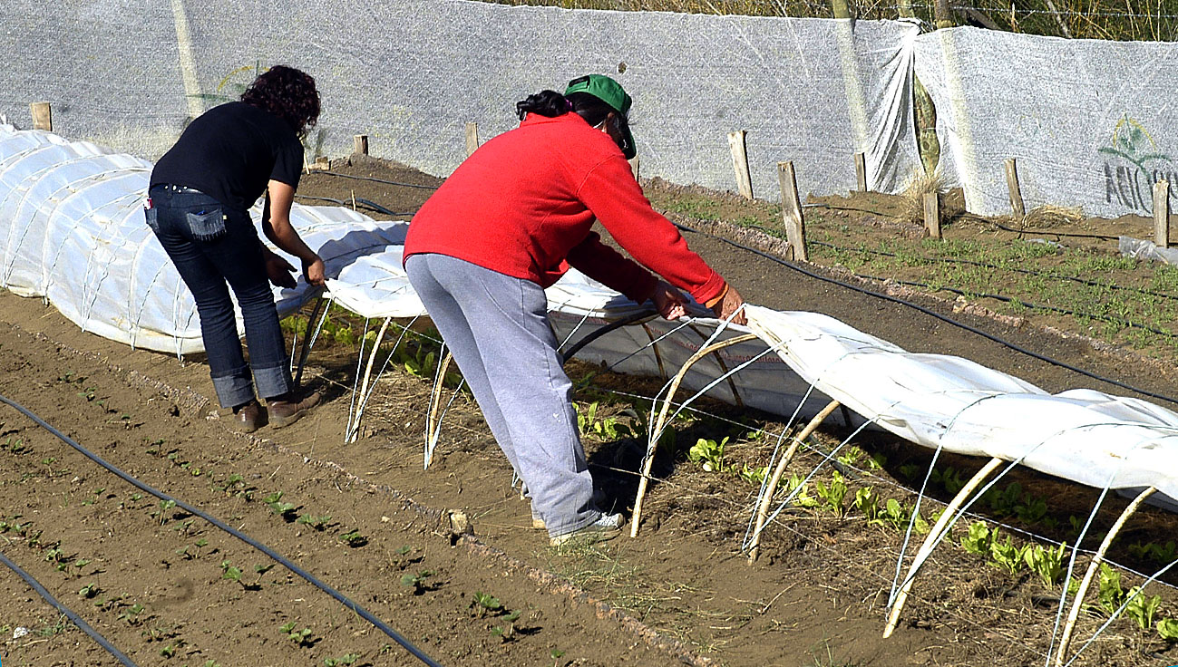 WEB-NO-CABEZA-...PRODUCCION...-CARRERA-TERCIARIA-_8058