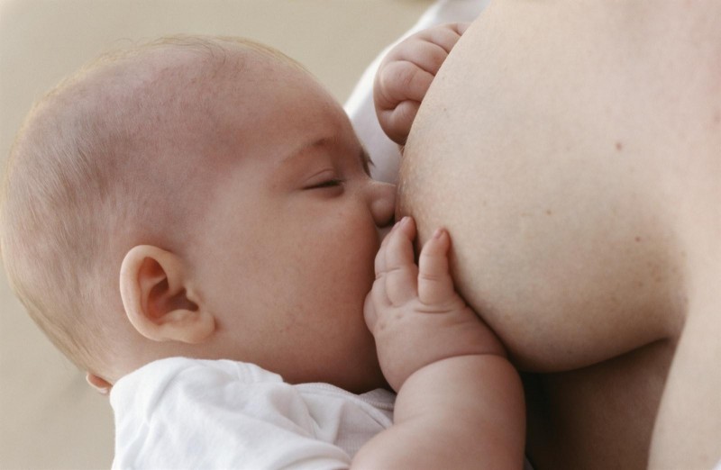 bebe
