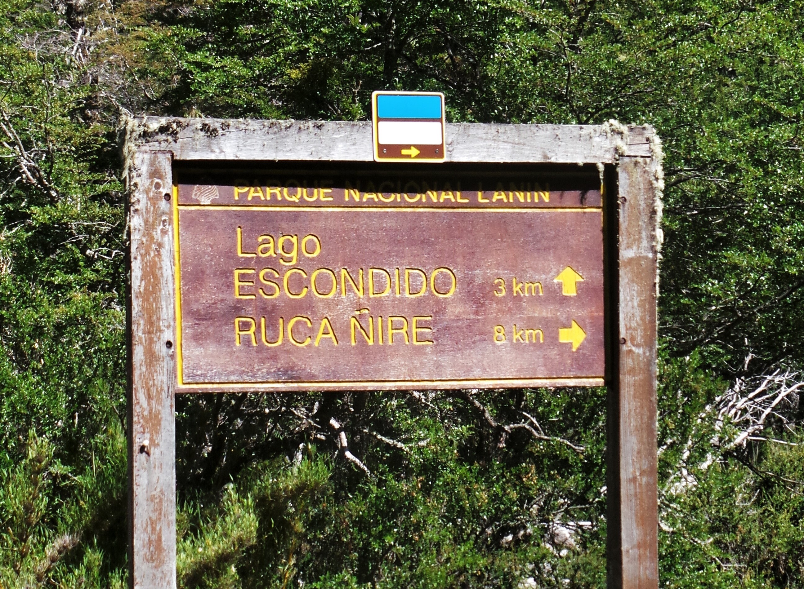 escondido
