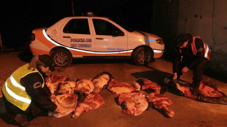 secuestro Gentileza.