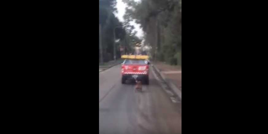 camioneta