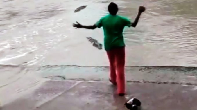 Una mujer ahuyenta a cocodrilos con una chancleta