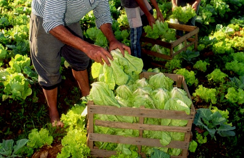 productores