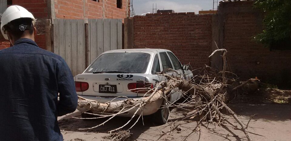 auto