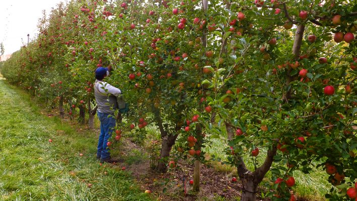 web_-mas-de-2-000-beneficiarios-por-un-total-de-110-millones-708x400