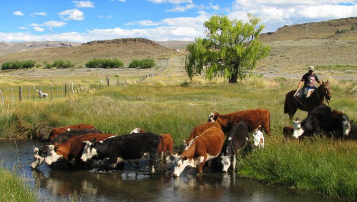 web_-neuquen-ejecutara-un-nuevo-programa-de-desarrollo-rural-1-708x400