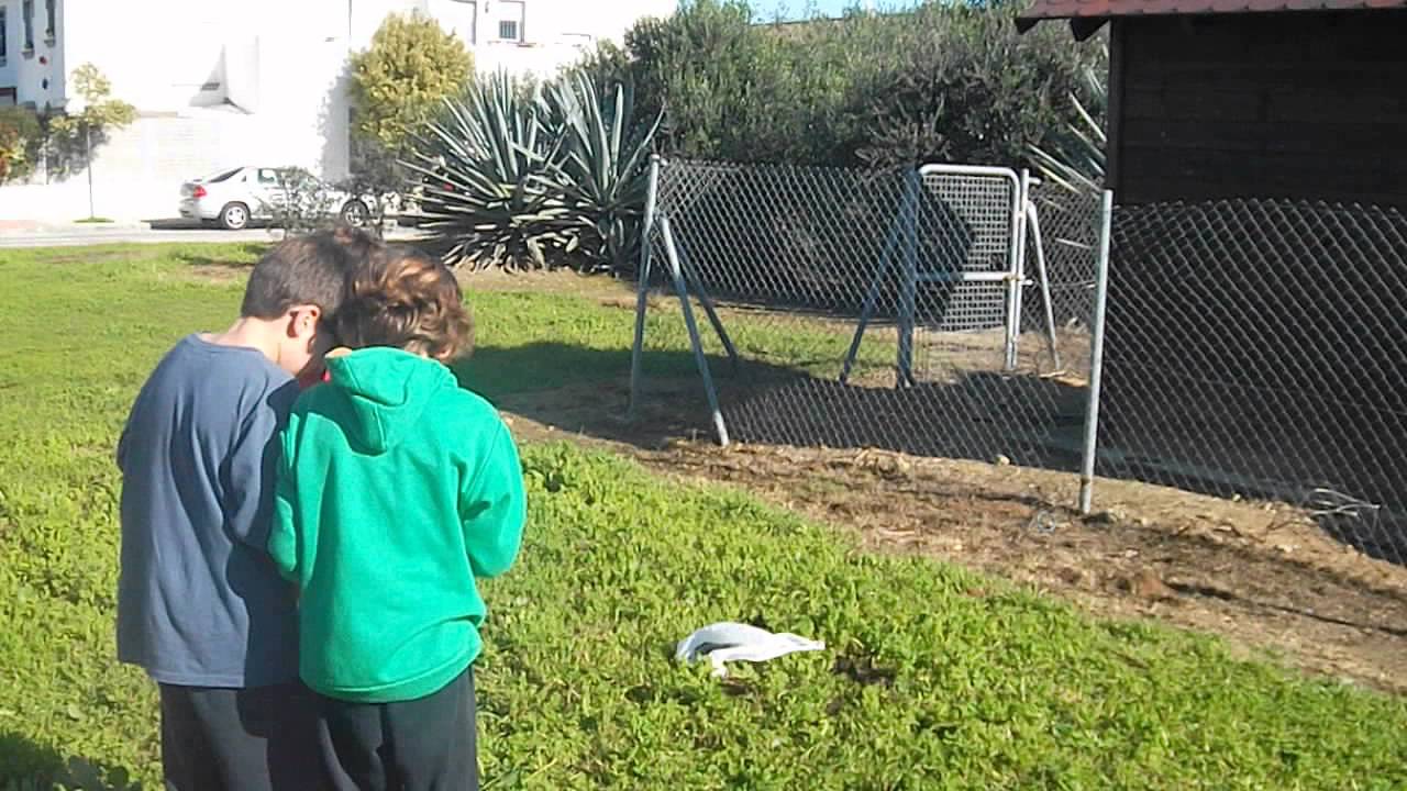 petardo