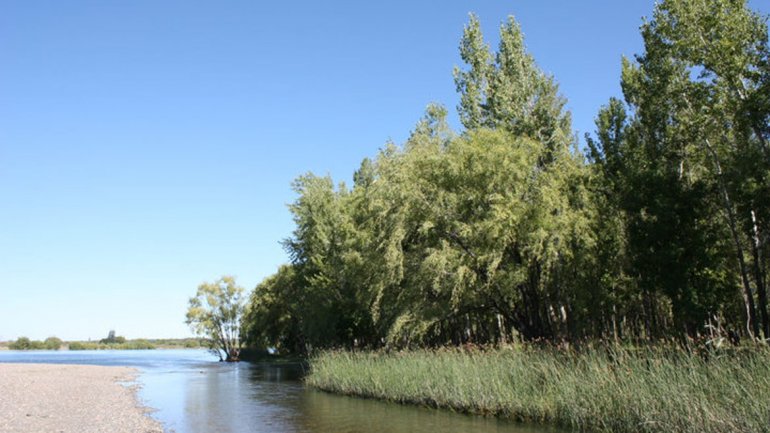 0002359129 Gentileza LMNeuquén