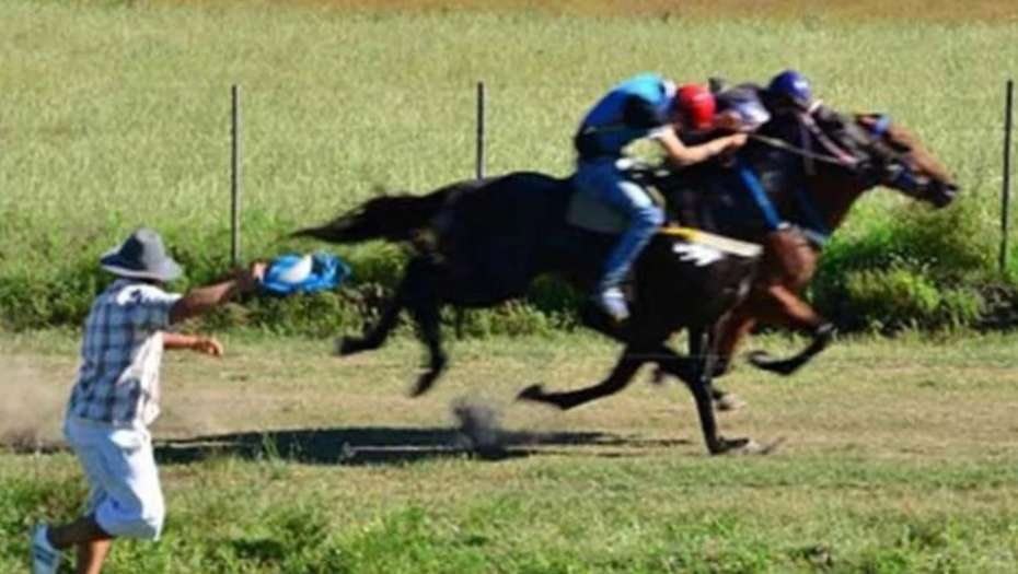 caballos