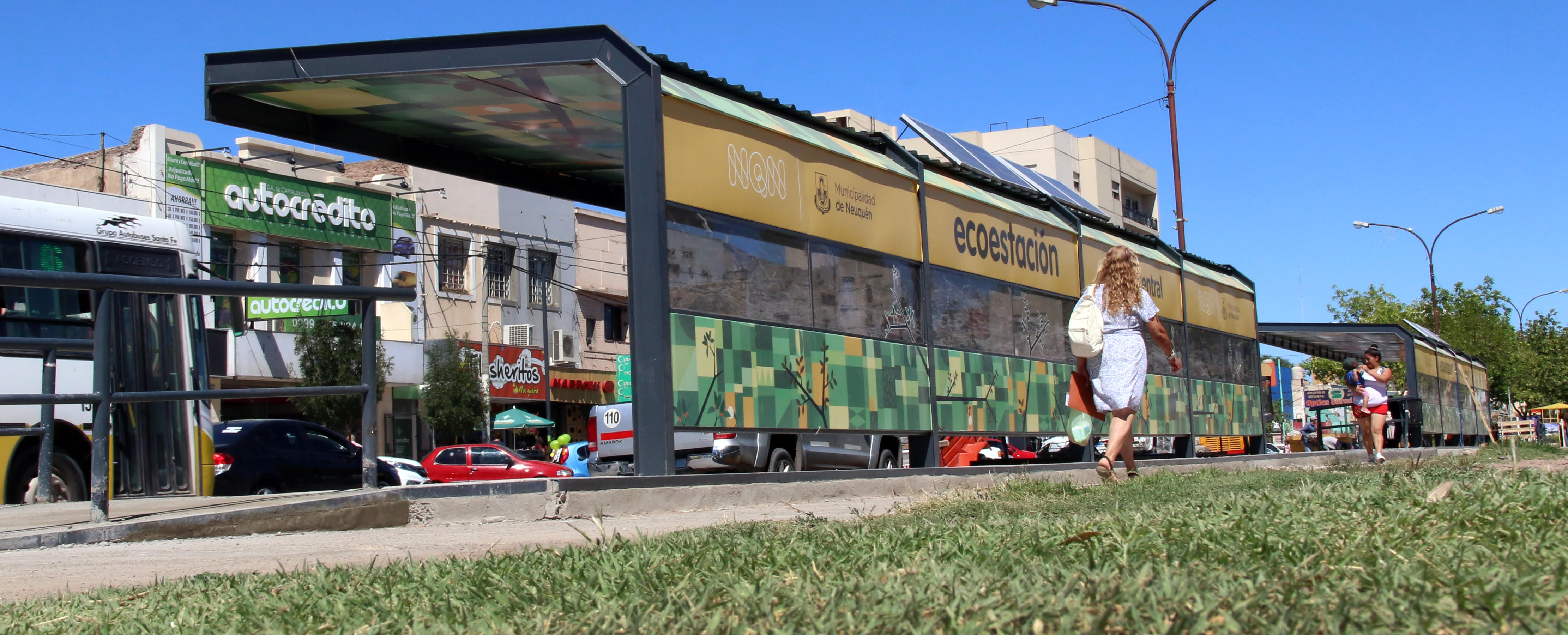colectivo