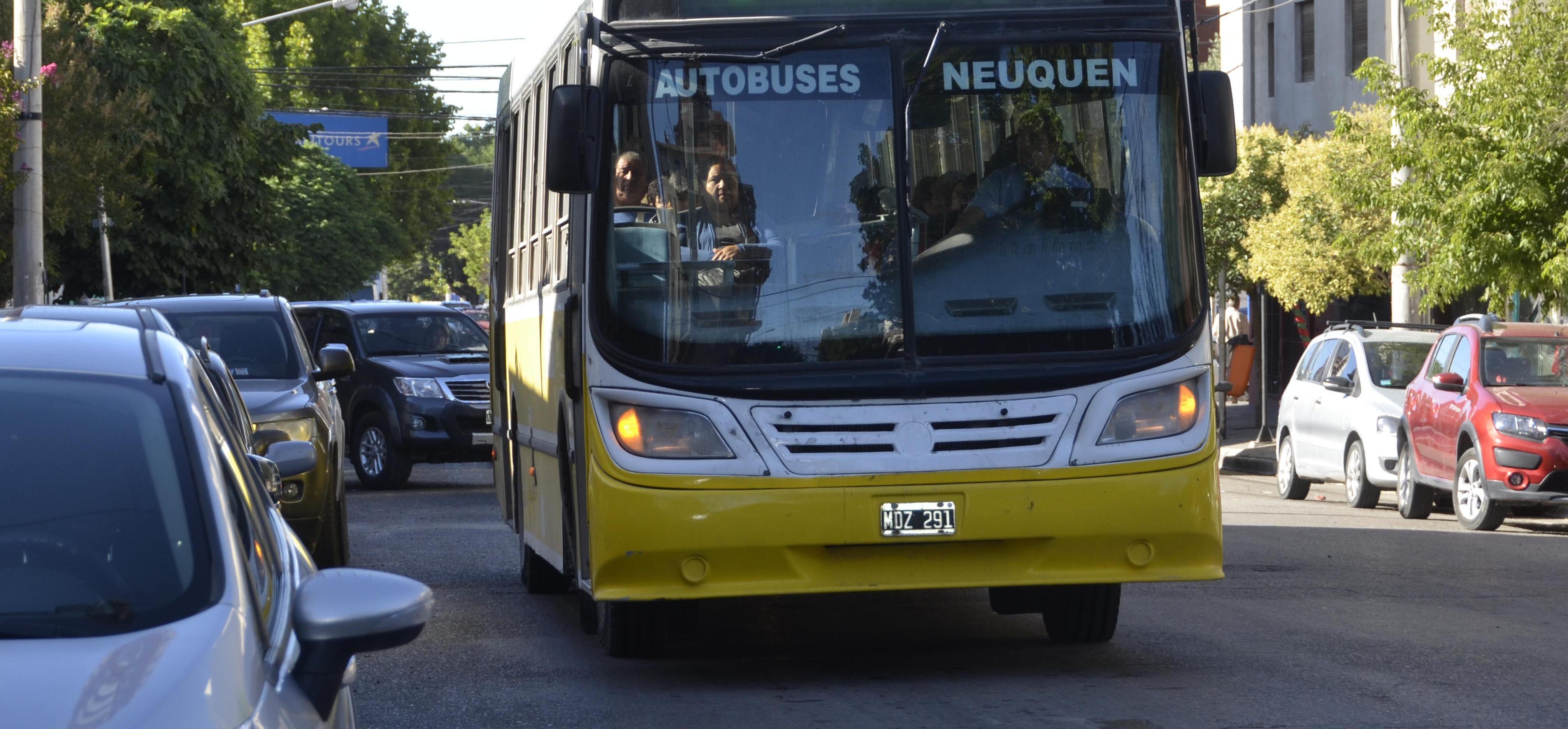 colectivo