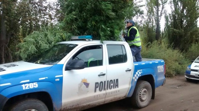policia