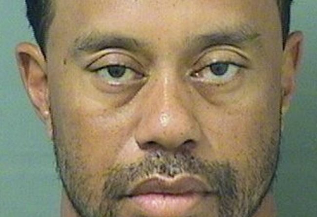 0529_tiger_woods_g-650x446