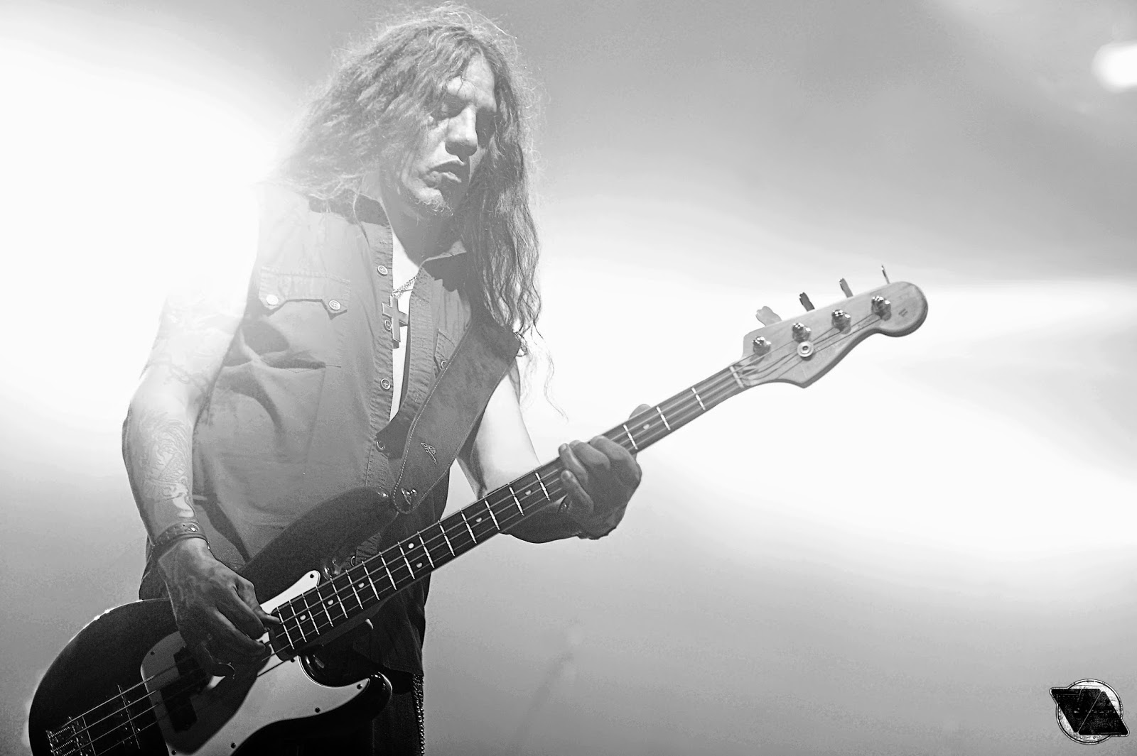 rata_blanca