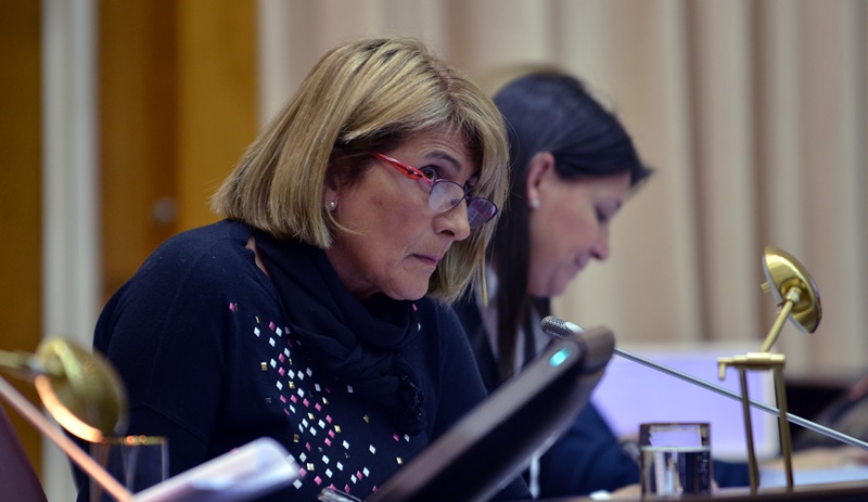 Alma-Sapag-legislatura