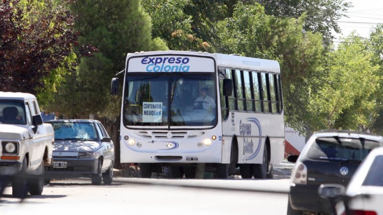 colectivo