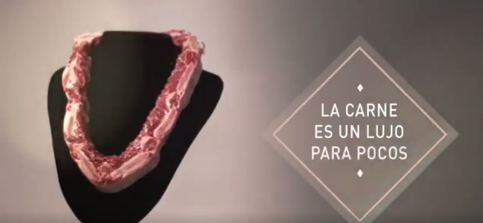 campaña
