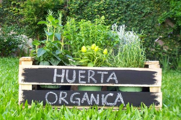 huerta-organica-3