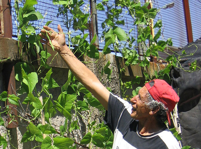 huerta