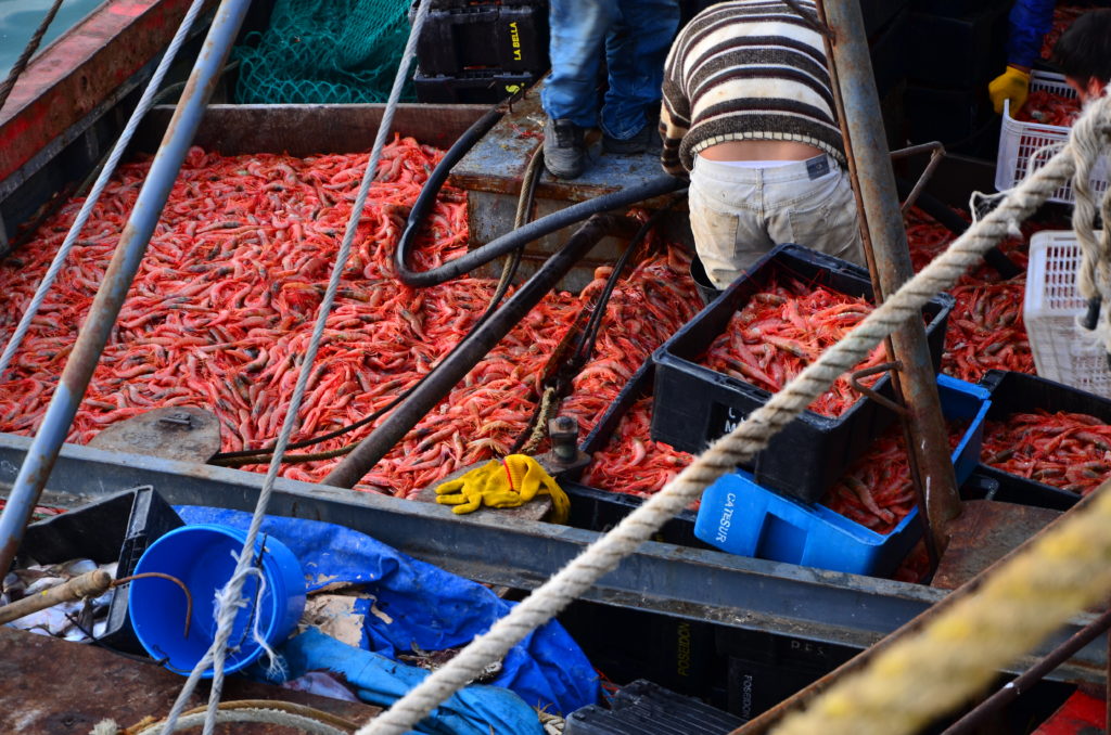 pescadores