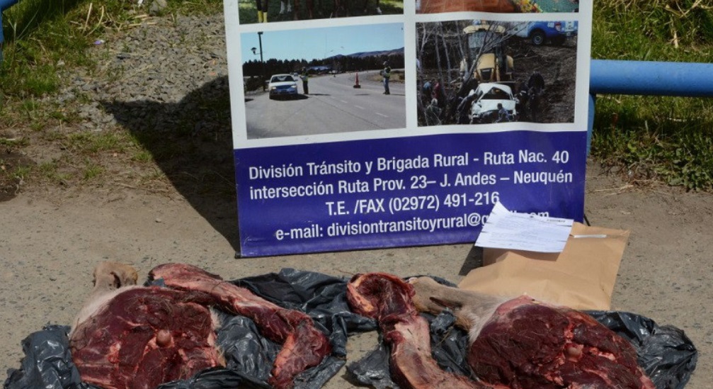 carne-ilegal