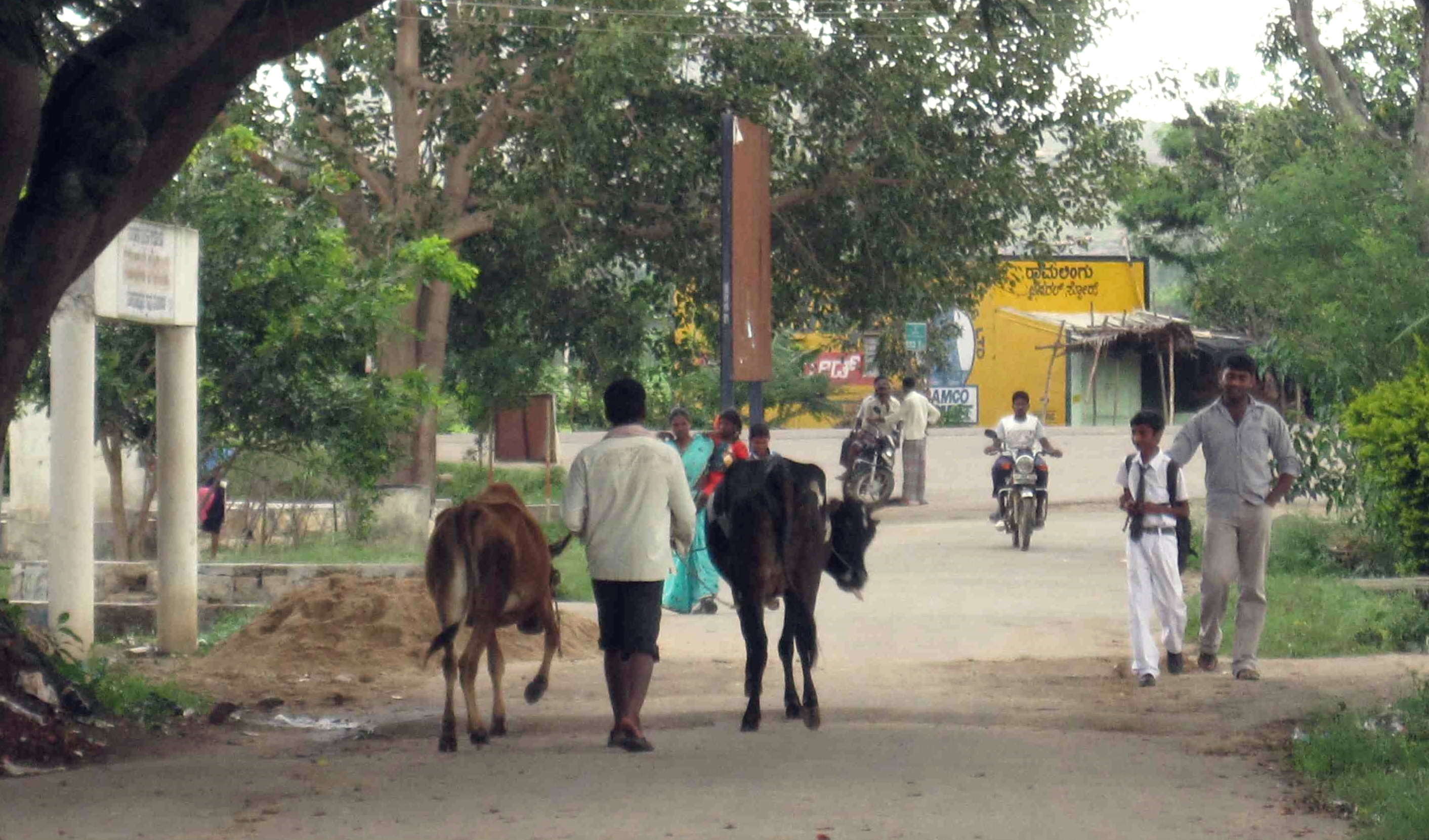 calle-india