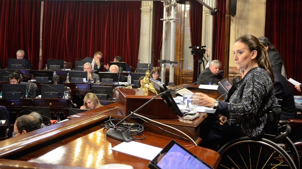 michetti_senado