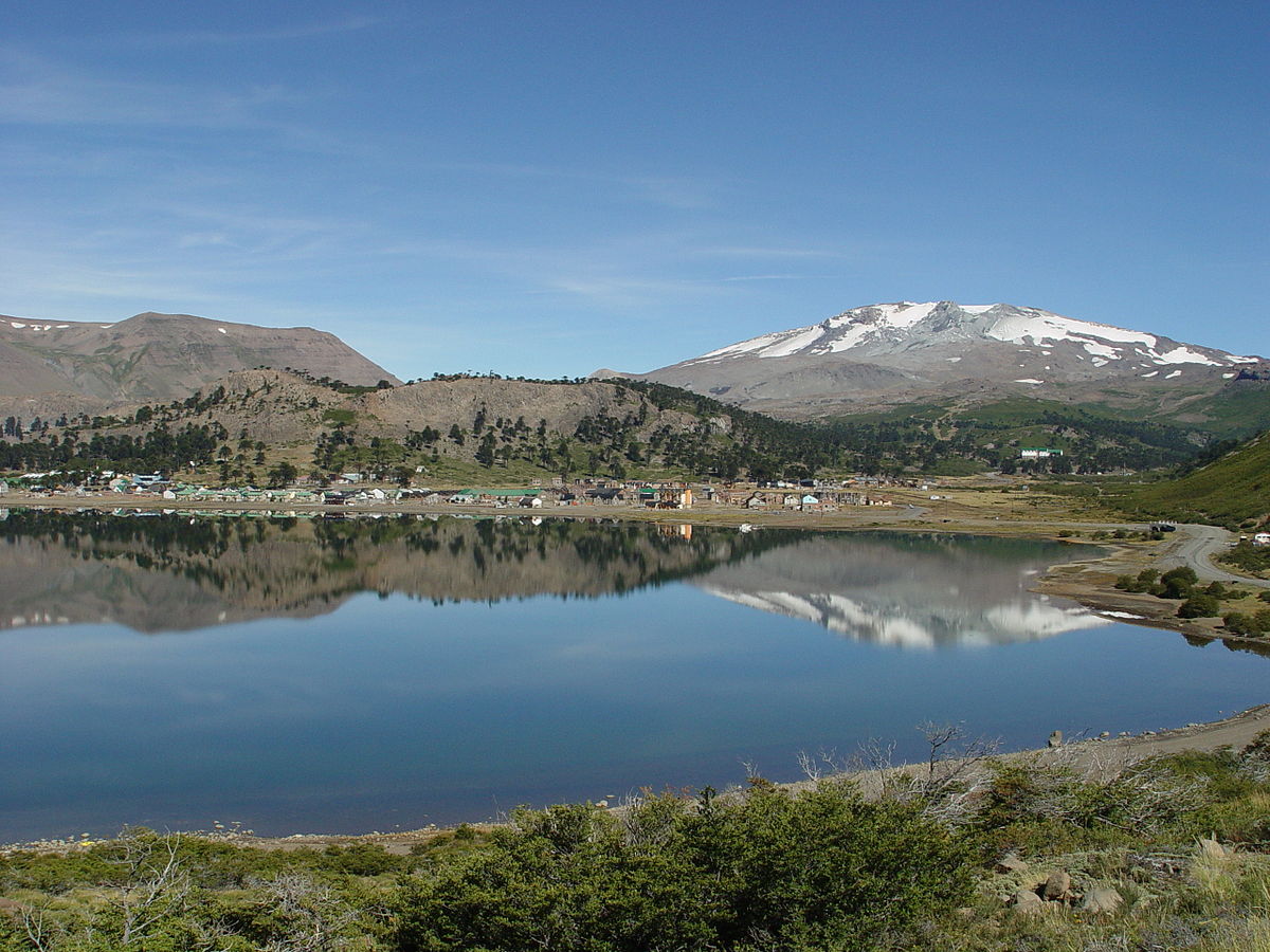 1200px-Pino_h_2007_038