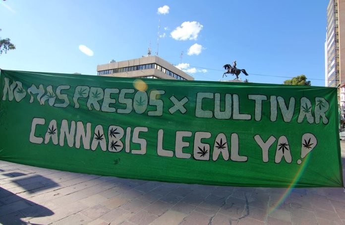 marihuana