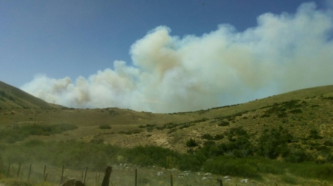 fuego Gentileza.