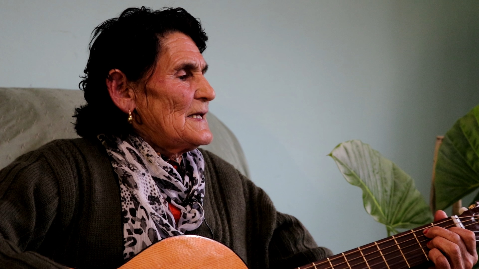 cantora