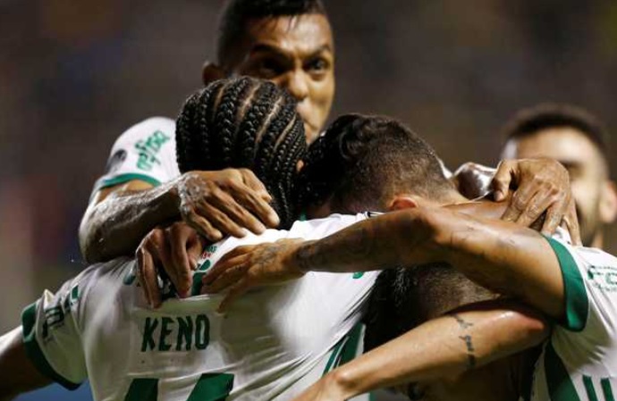 palmeiras