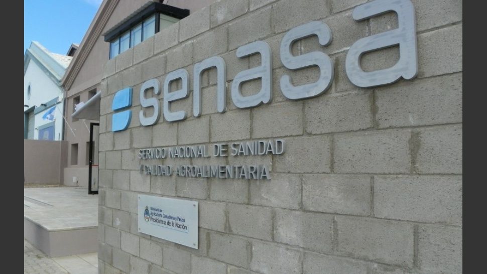 senasa.jpg_541755376