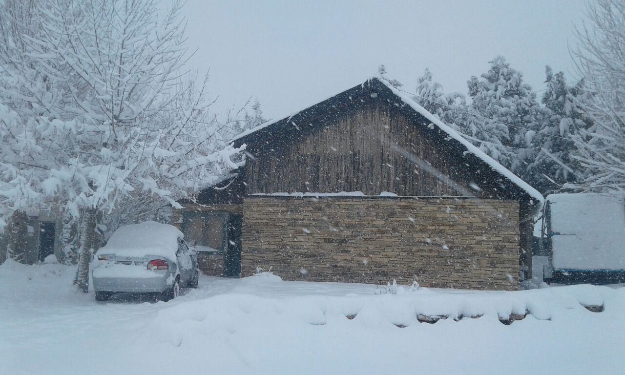 Nieve