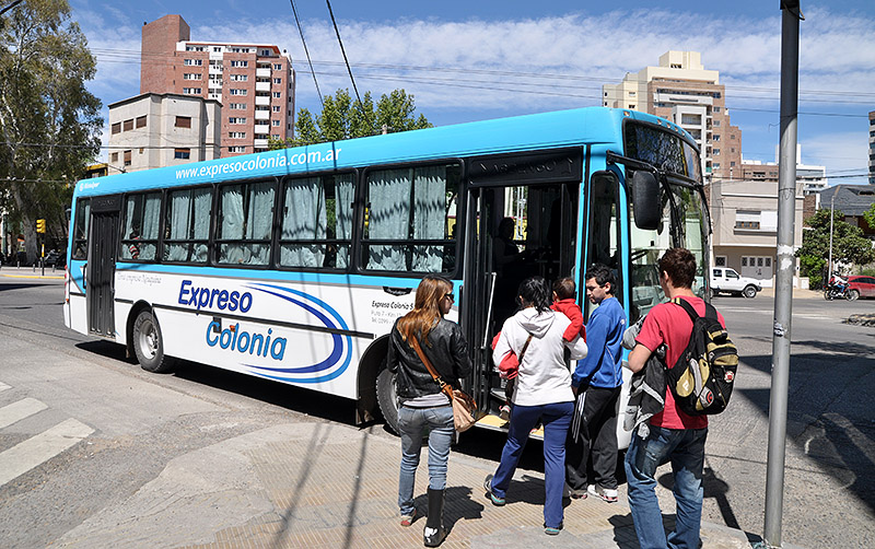 WEBColectivo-expreso-colonia_2217