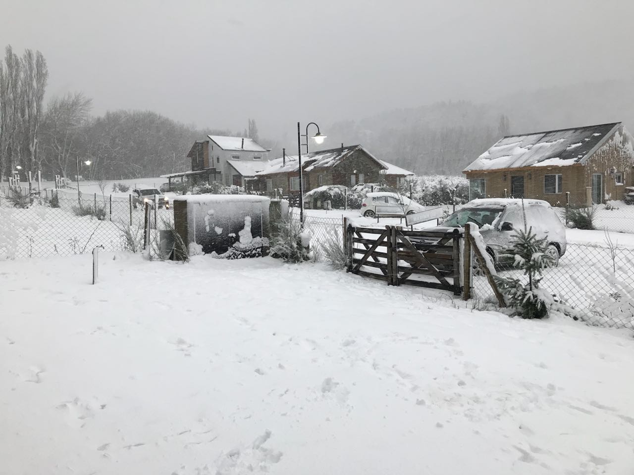 Nieve San Martín