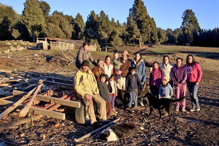 mapuche