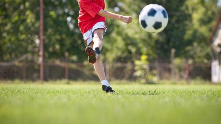 pelota