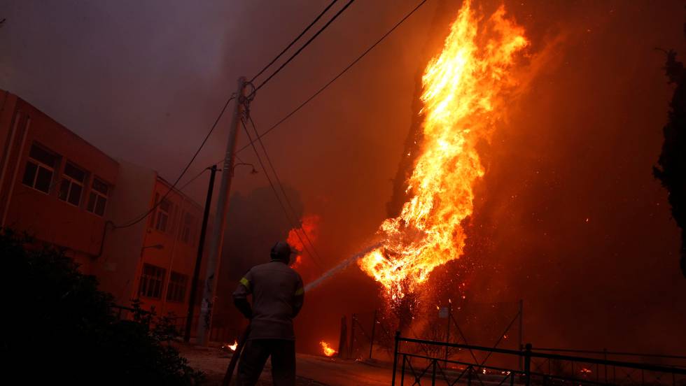 1532377879_672021_1532424181_noticia_fotograma