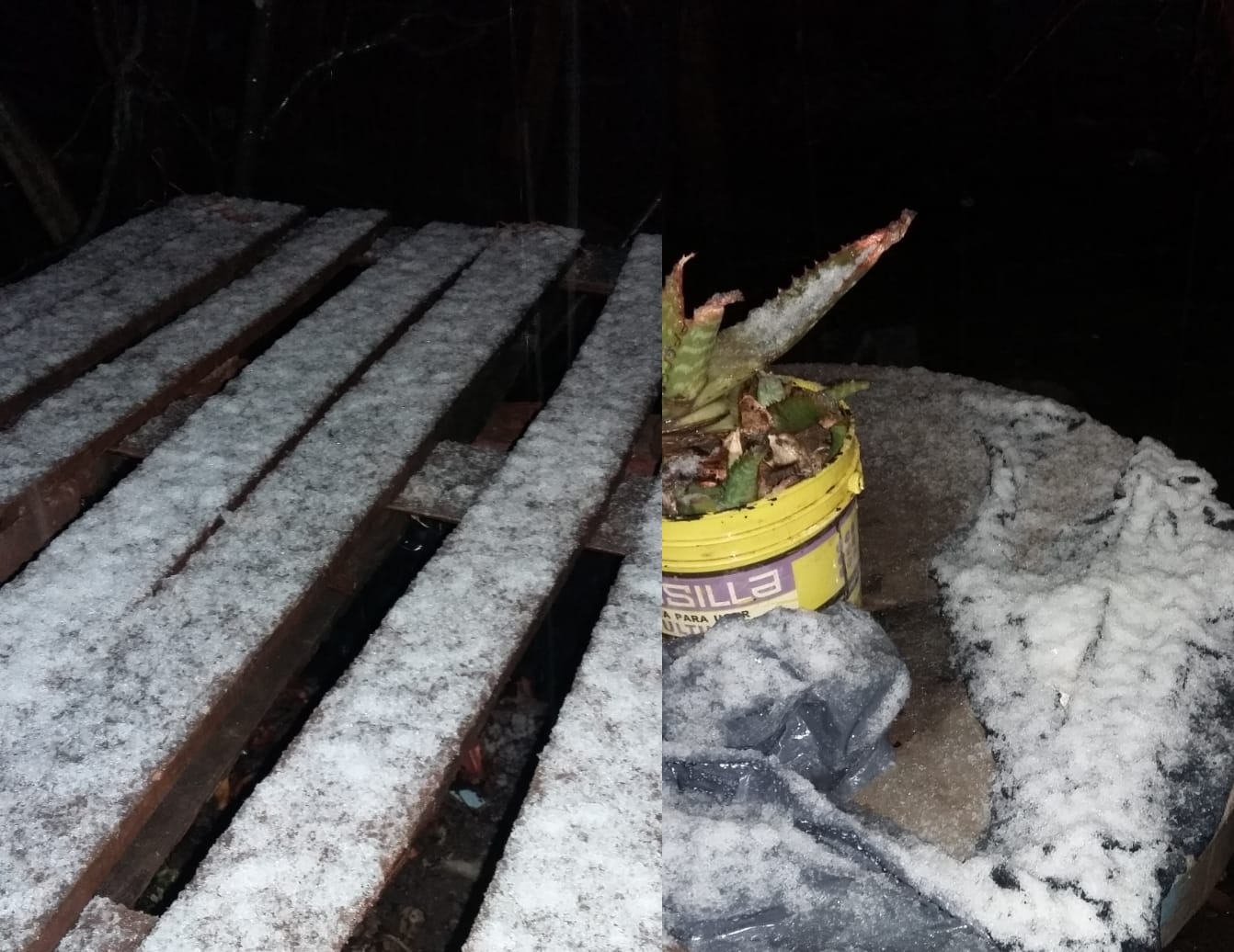nieve