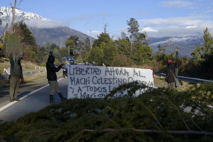 mapuches