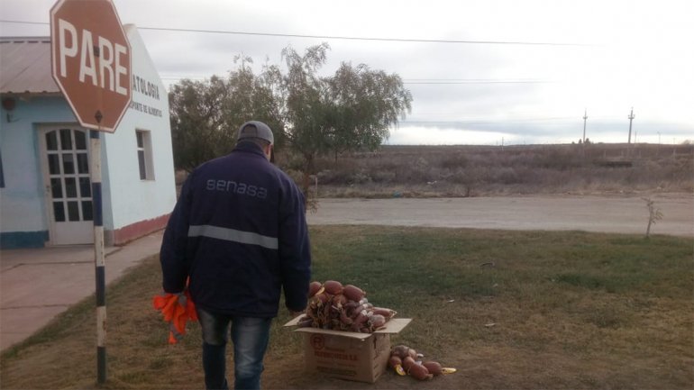senasa Gentileza.