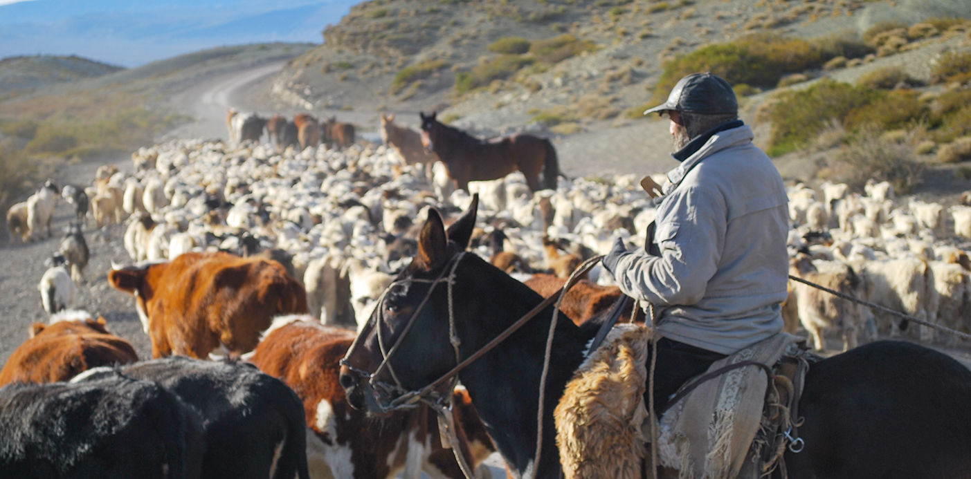 WEB-CRIANCEROS-VUELTA-DE-LA-VERANADA-2