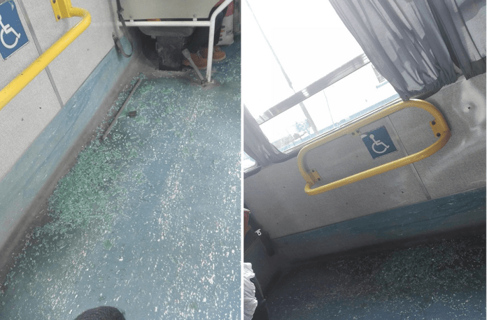 colectivo