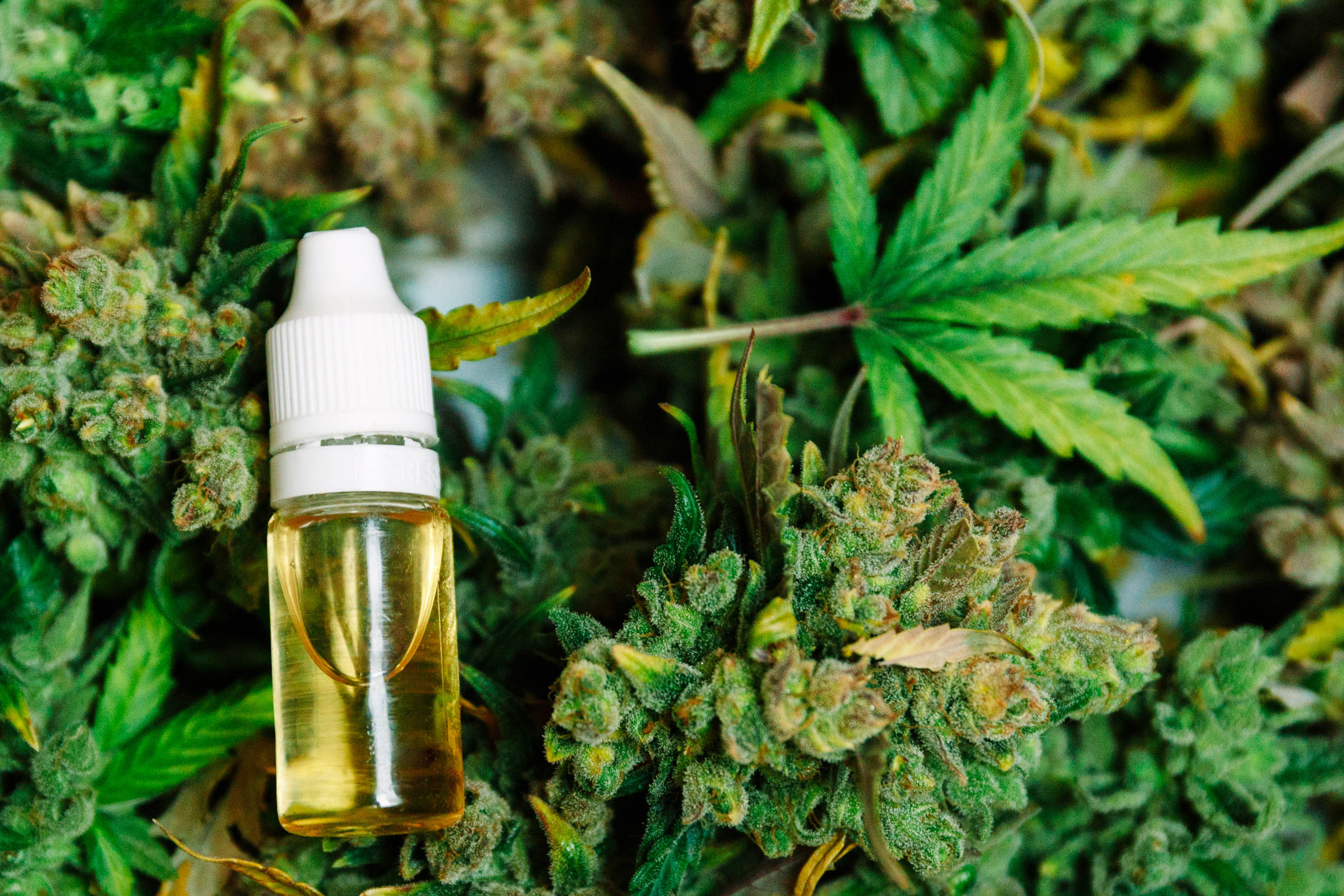 Difference-between-cbd-oil-and-full-spectrum-oil-full-spectrum-oil