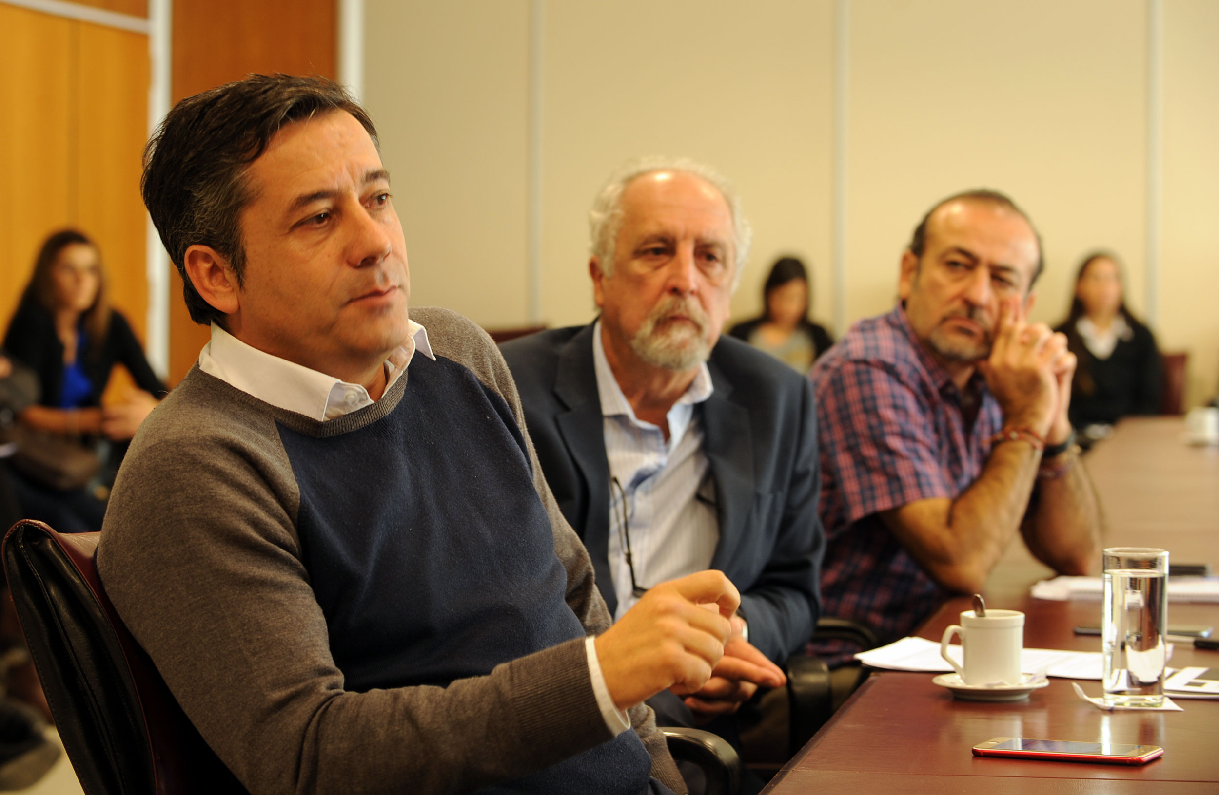 diputados