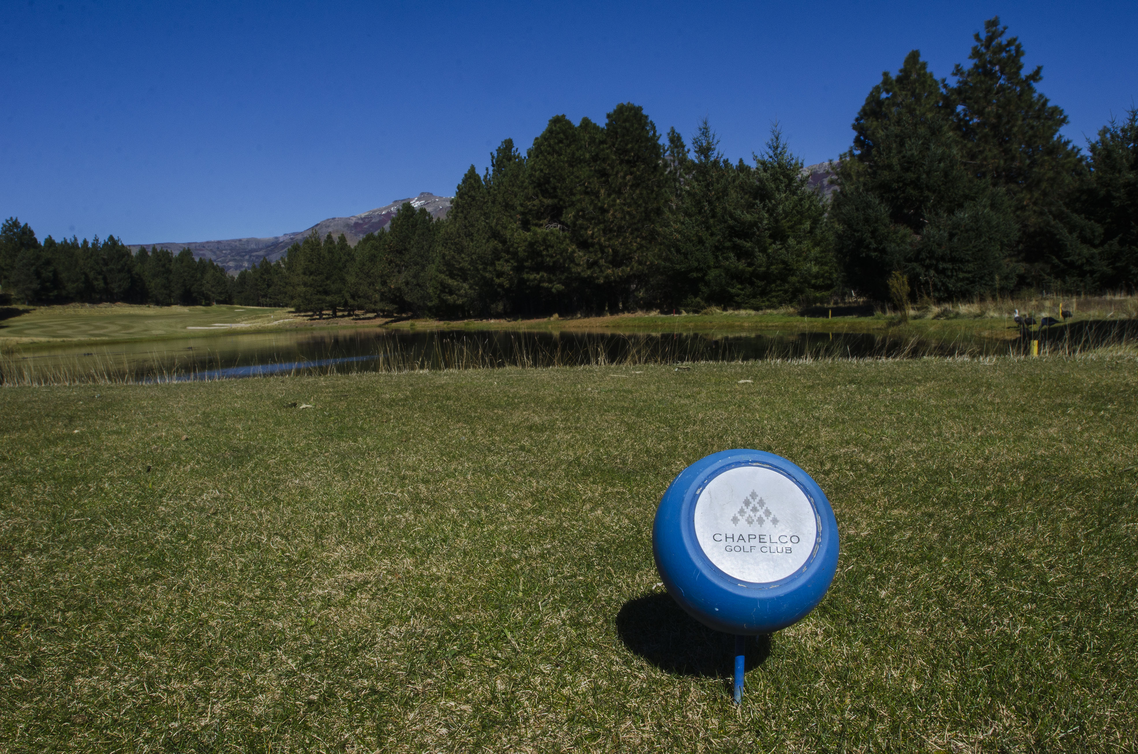 Chapelco golf club