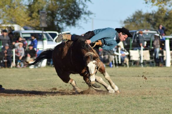 caballo