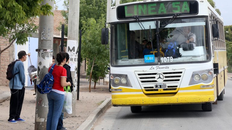 colectivo